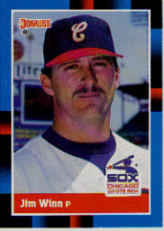 1988 Donruss Baseball Cards    409     Jim Winn